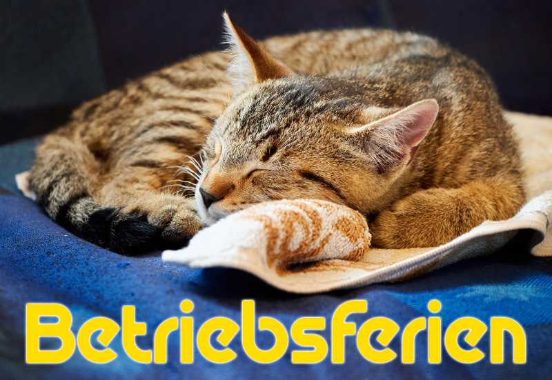 Betriebsruhe